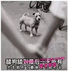 【'舔狗' 自鉴】😭今日被正式确诊为 卑微舔狗！-2
