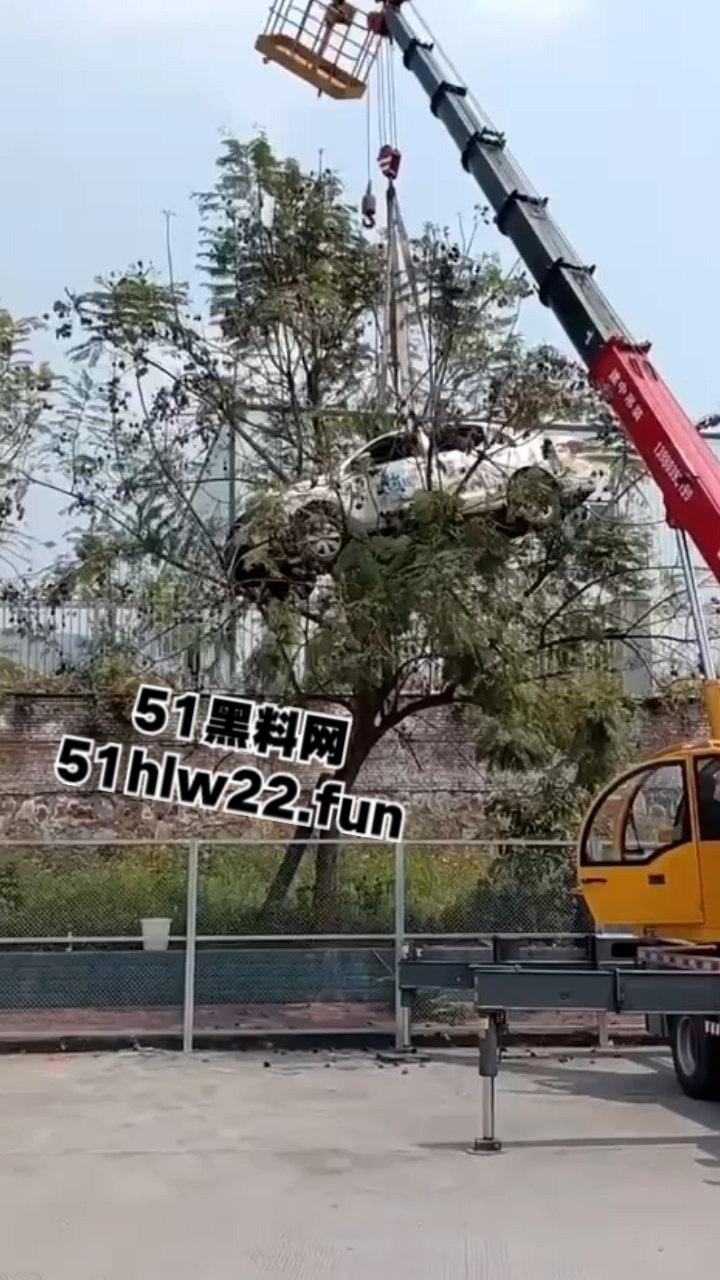 小刀拉屁股开了眼了,宜宾长宁驾校一教练教女学员开车一脚开飞直接上树,这车技也是没谁了!-3