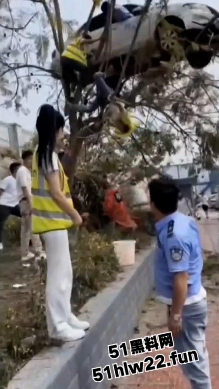 小刀拉屁股开了眼了,宜宾长宁驾校一教练教女学员开车一脚开飞直接上树,这车技也是没谁了!-5