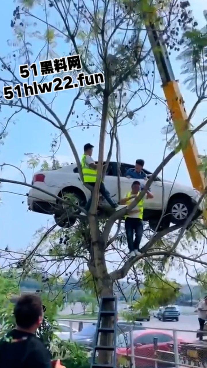 小刀拉屁股开了眼了,宜宾长宁驾校一教练教女学员开车一脚开飞直接上树,这车技也是没谁了!-7