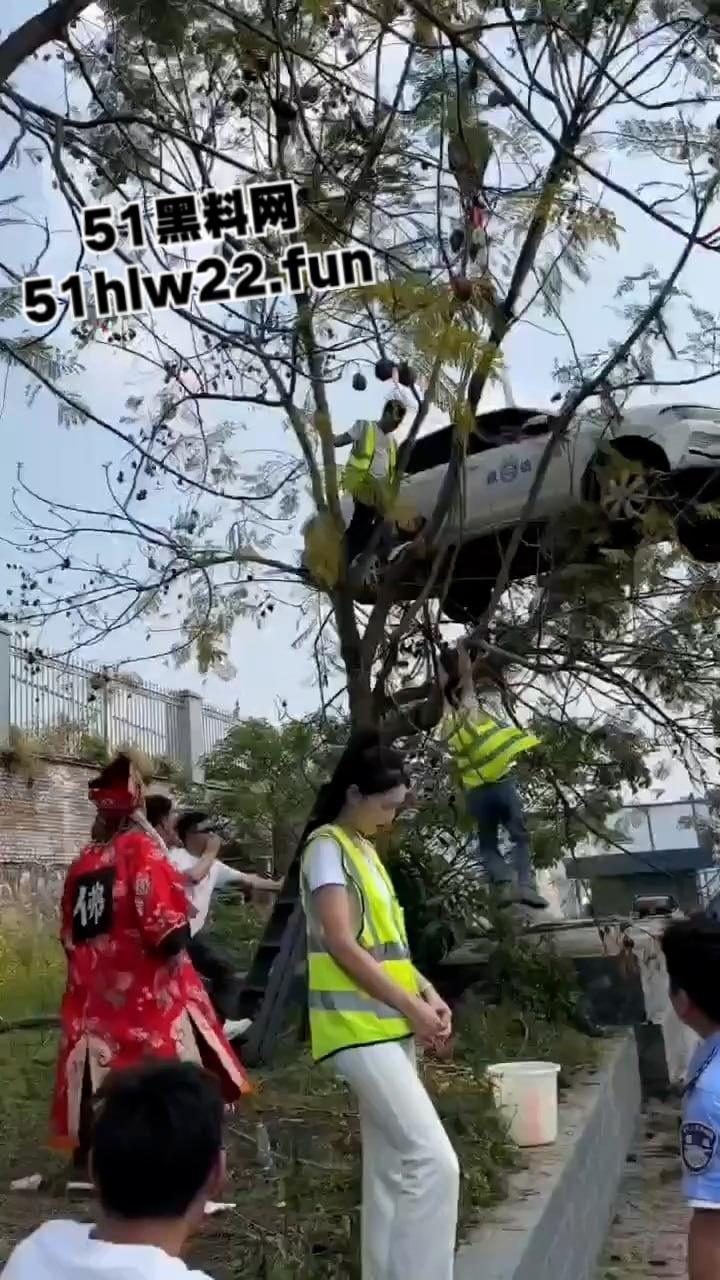 小刀拉屁股开了眼了,宜宾长宁驾校一教练教女学员开车一脚开飞直接上树,这车技也是没谁了!-9