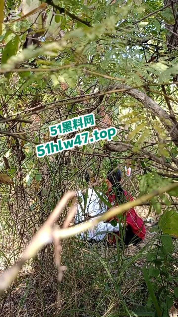 情侣景区小树林露天野战被偷拍,景区小树林里操逼,裸露下体疯狂动鸡刺激中出小骚逼。-4
