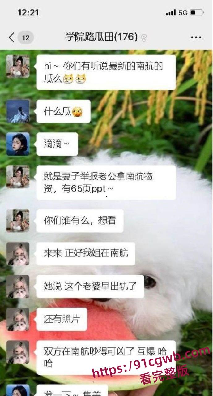 南航空警偷物资养家被老婆65页PPT锤爆 诫勉谈话后神反转 妻子竟被爆出轨视频 剧情太狗血!-16