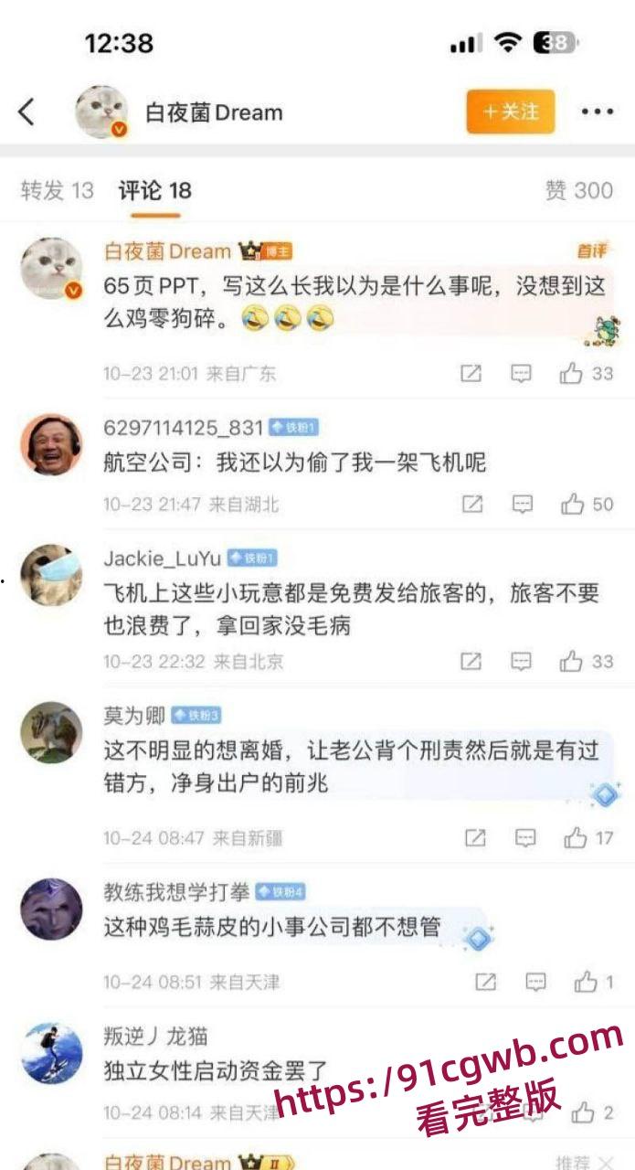 南航空警偷物资养家被老婆65页PPT锤爆 诫勉谈话后神反转 妻子竟被爆出轨视频 剧情太狗血!-24