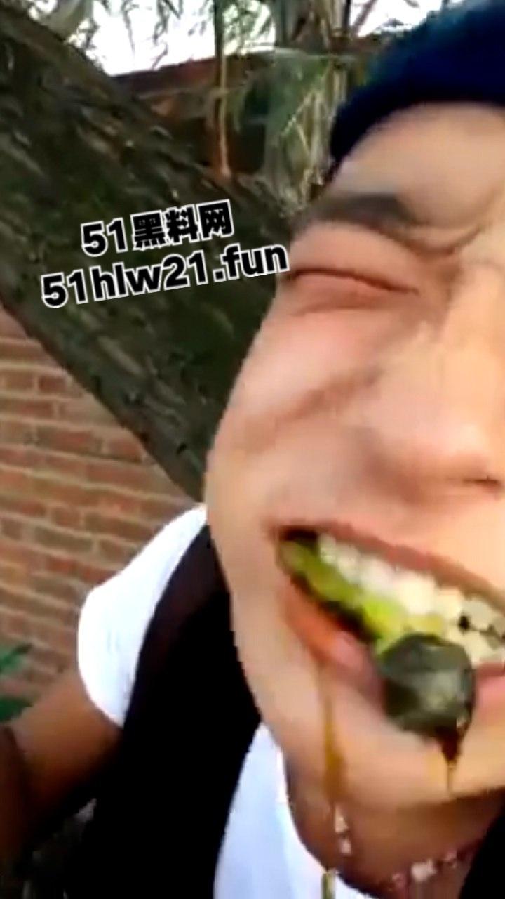 重口慎点！快手小哥炸裂生吃各种活物合集，活鸽子活麻雀死猪菜花蛇，哥们儿还活着吗？-2